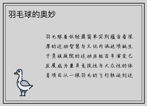 羽毛球的奥妙